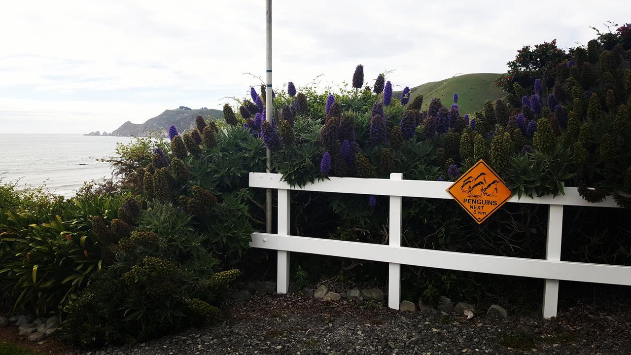 Kaka Point Spa Accommodation - Catlins Εξωτερικό φωτογραφία