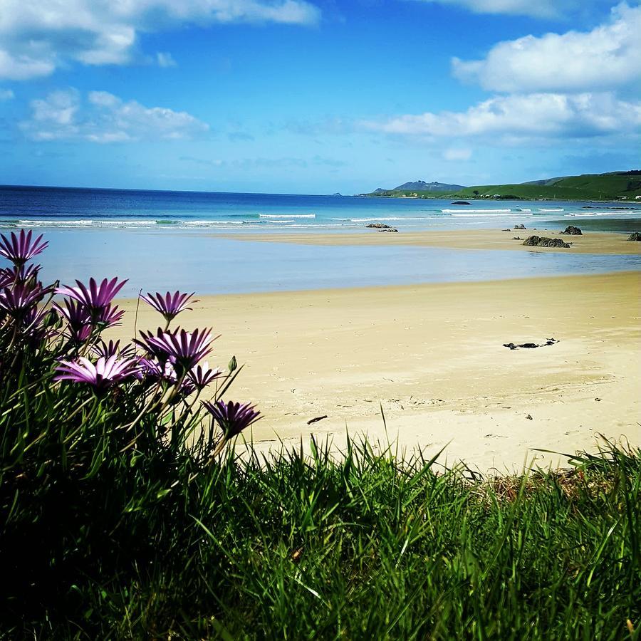 Kaka Point Spa Accommodation - Catlins Εξωτερικό φωτογραφία